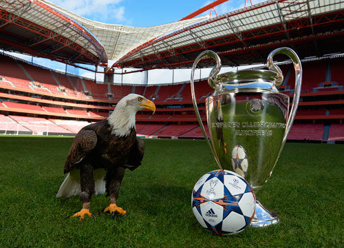 TSUTAYA一周游戏销量榜：《怪物猎人：崛起》再次登顶